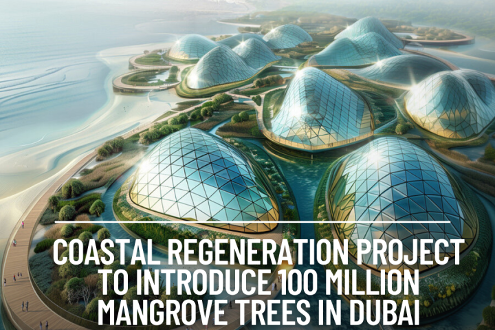 Dubai, a developer known for its dedication to Net Zero sustainable cities, is currently launching a creative coastal regeneration effort.