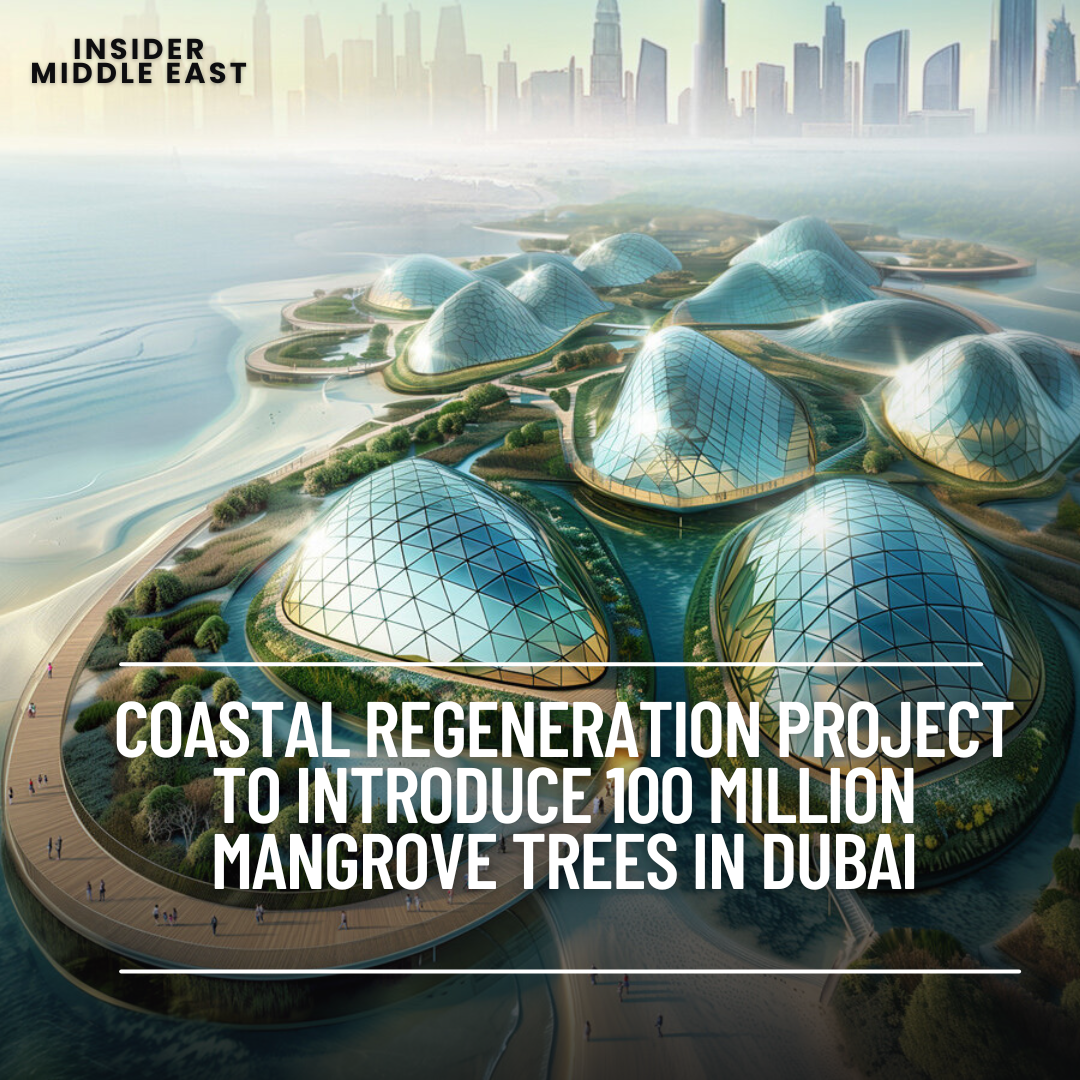 Dubai, a developer known for its dedication to Net Zero sustainable cities, is currently launching a creative coastal regeneration effort.